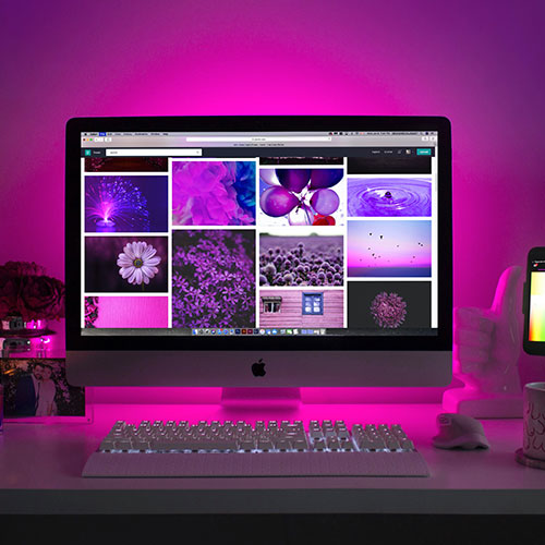 First Portfolio